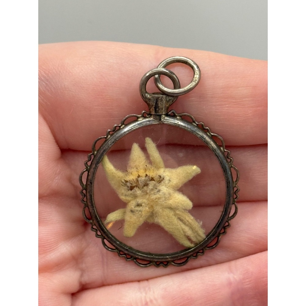 Vintage 835 Silver Dried Edelweiss Encased Flower Pendant